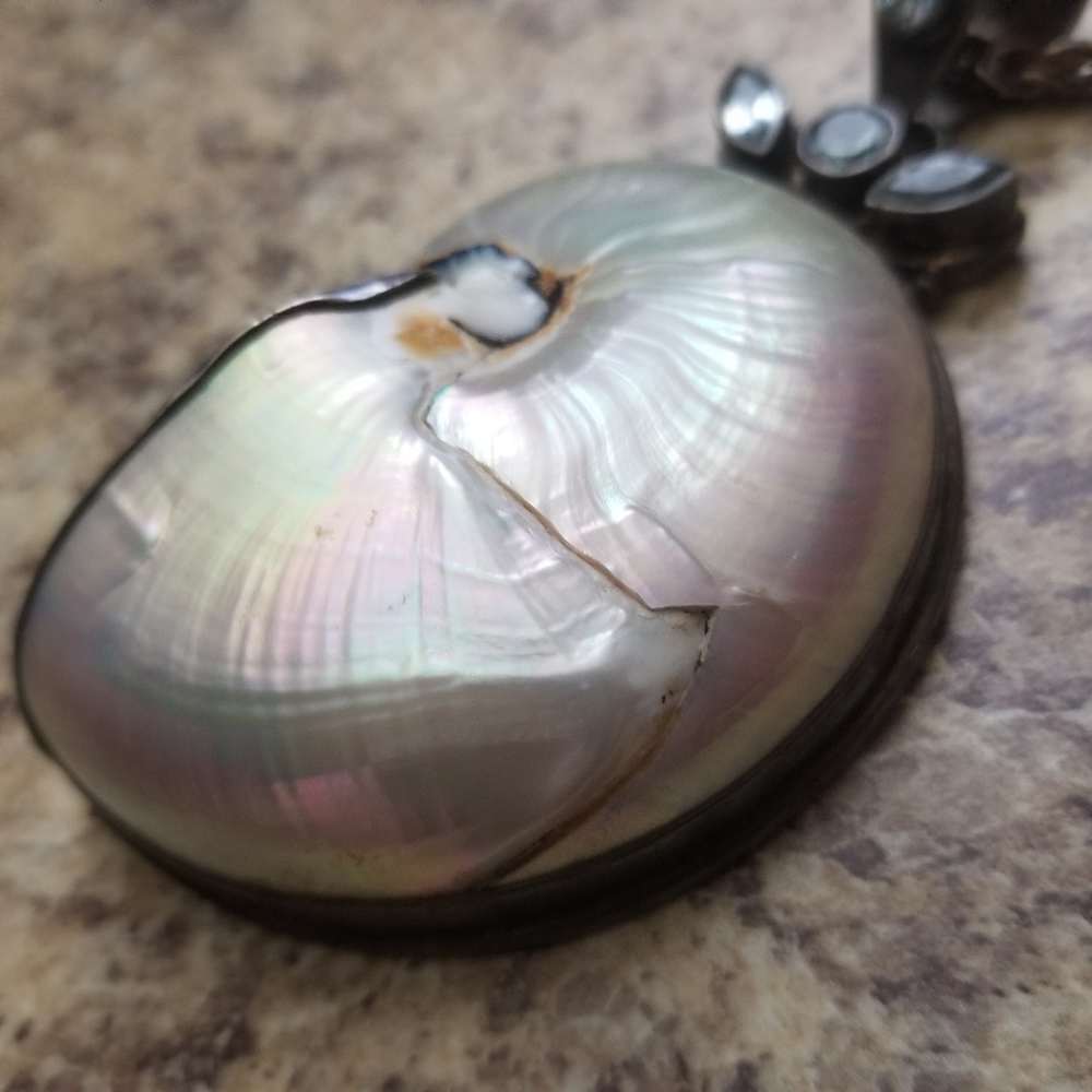 Witch Shell Necklace - Picture 5 of 10